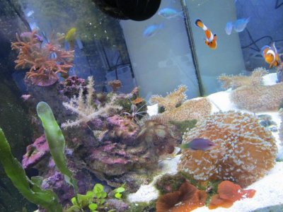 IMG_1493 [1024x768].jpg