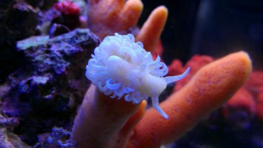 IMAG0569.jpg