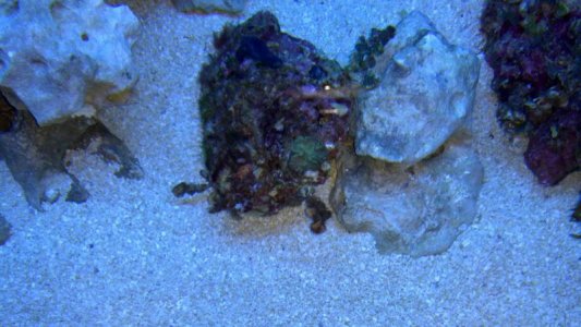 2012-04-17_19-00-42_951.jpg