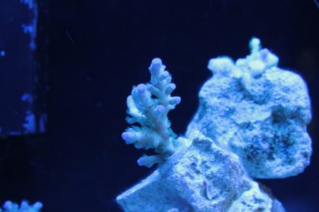 IMG_3283.jpg