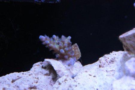 IMG_3309.jpg