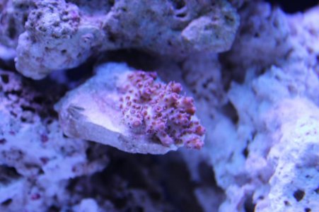 rpoIMG_2956.jpg
