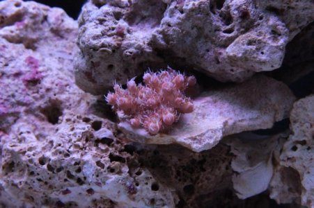 IMG_3298.jpg