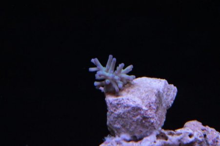 IMG_3296.jpg