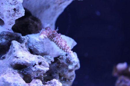 moIMG_2959.jpg