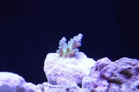oIMG_2955.jpg