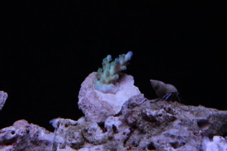 IMG_3294.jpg
