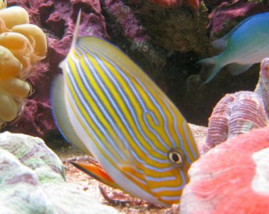 IMG_1687.jpg