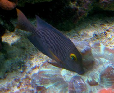 IMG_1706.jpg