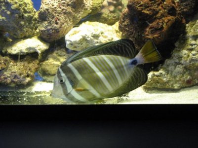 IMG_0504.jpg