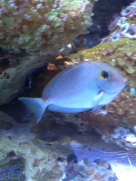 ImageUploadedByTapatalk HD1335126455.971027.jpg