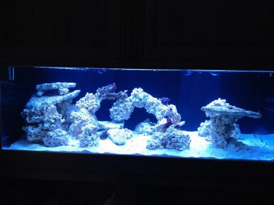 IMG_0899.jpg IMG_0899.jpg