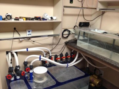 IMG_0901.jpg IMG_0901.jpg