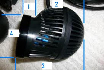 60951.JPG 60951.JPG