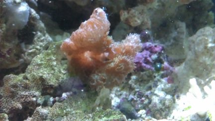 IMAG0134-1.jpg