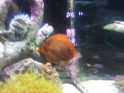 2012-04-22 21.08.30.jpg