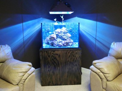 2012-05-10 17.48.14.jpg