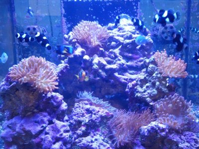 2012-05-10 17.43.28.jpg