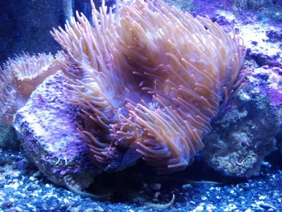 2012-05-10 17.45.42.jpg