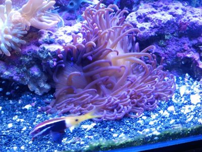 2012-05-10 17.45.58 (1).jpg