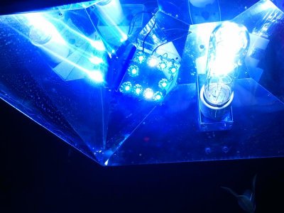 2012-05-10 17.44.05.jpg