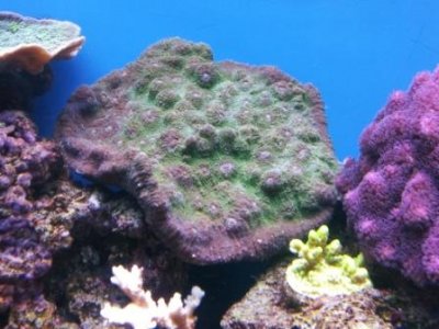 2012-05-12 17.26.08.jpg