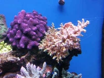 2012-05-12 11.46.28.jpg