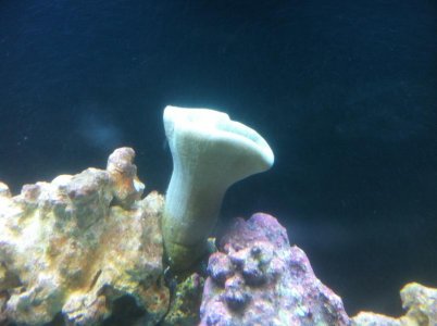 photo (3).jpg