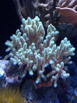 ImageUploadedByTapatalk HD1335229047.128218.jpg