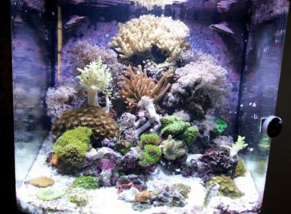 20120513_133602 (1024x754) (2).jpg