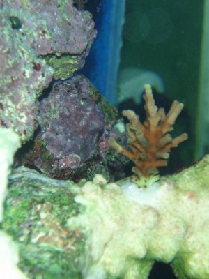 13MAY2012 (7).jpg