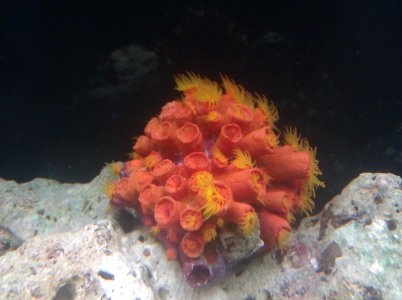 IMG_20120424_163919.jpg