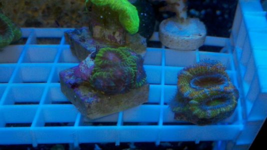 uploadfromtaptalk1337039655519.jpg uploadfromtaptalk1337039655519.jpg