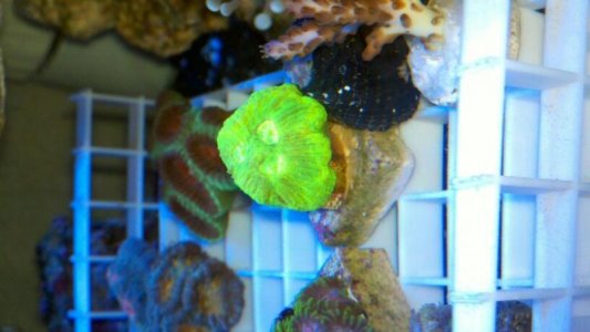 uploadfromtaptalk1337039691515.jpg uploadfromtaptalk1337039691515.jpg