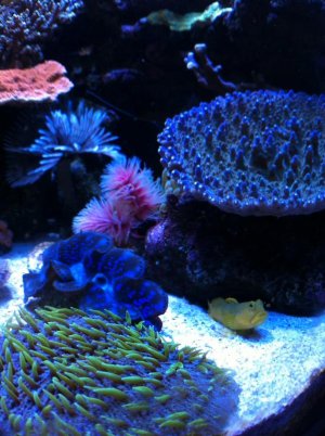 IMG_0616.jpg