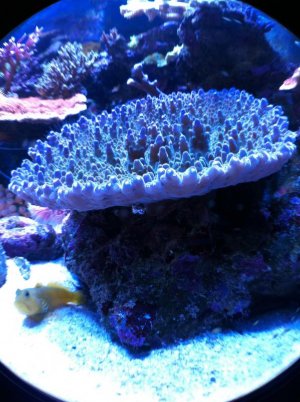 IMG_0622.jpg