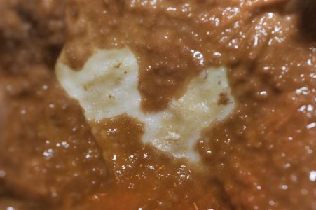 CloseUp.jpg