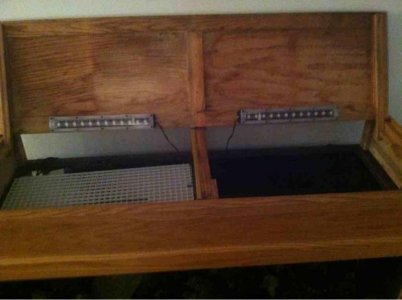 ImageUploadedByTapatalk1337211861.460768.jpg ImageUploadedByTapatalk1337211861.460768.jpg