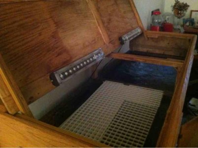 ImageUploadedByTapatalk1337211886.348312.jpg ImageUploadedByTapatalk1337211886.348312.jpg