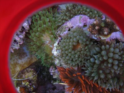 nano 9-29-09 211.jpg