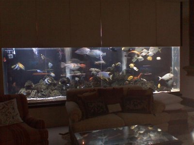 1201081707.jpg