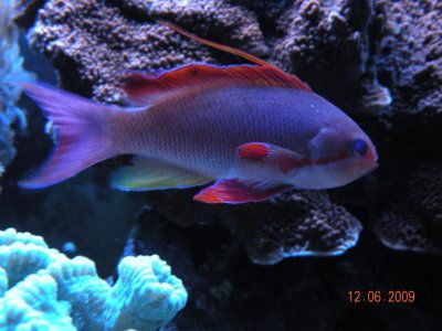 DSCN7063.jpg