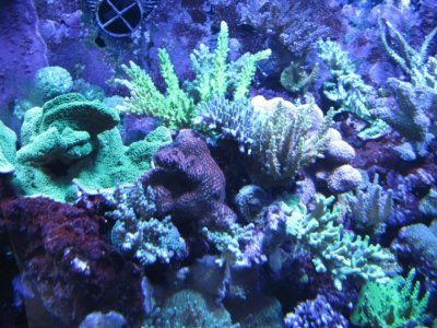 IMG_0150.jpg