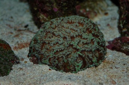 DSC_0138.jpg