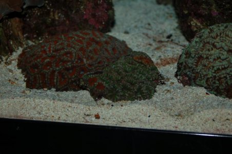 DSC_0139.jpg