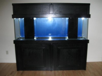 135 gallon reef 001 (Medium).jpg