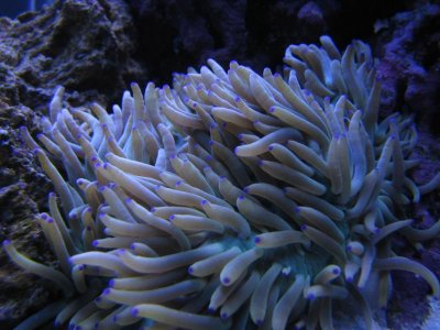 nano 9-29-09 585.jpg