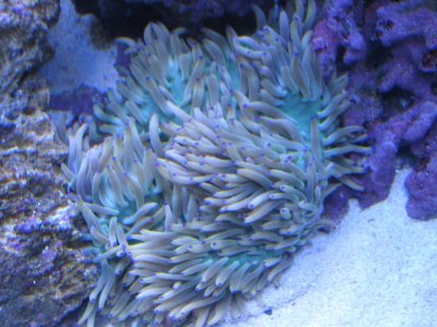 nano 9-29-09 587.jpg