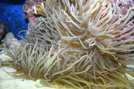 picsIII 056 (600 x 398).jpg