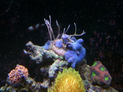 photo 2-1.jpg